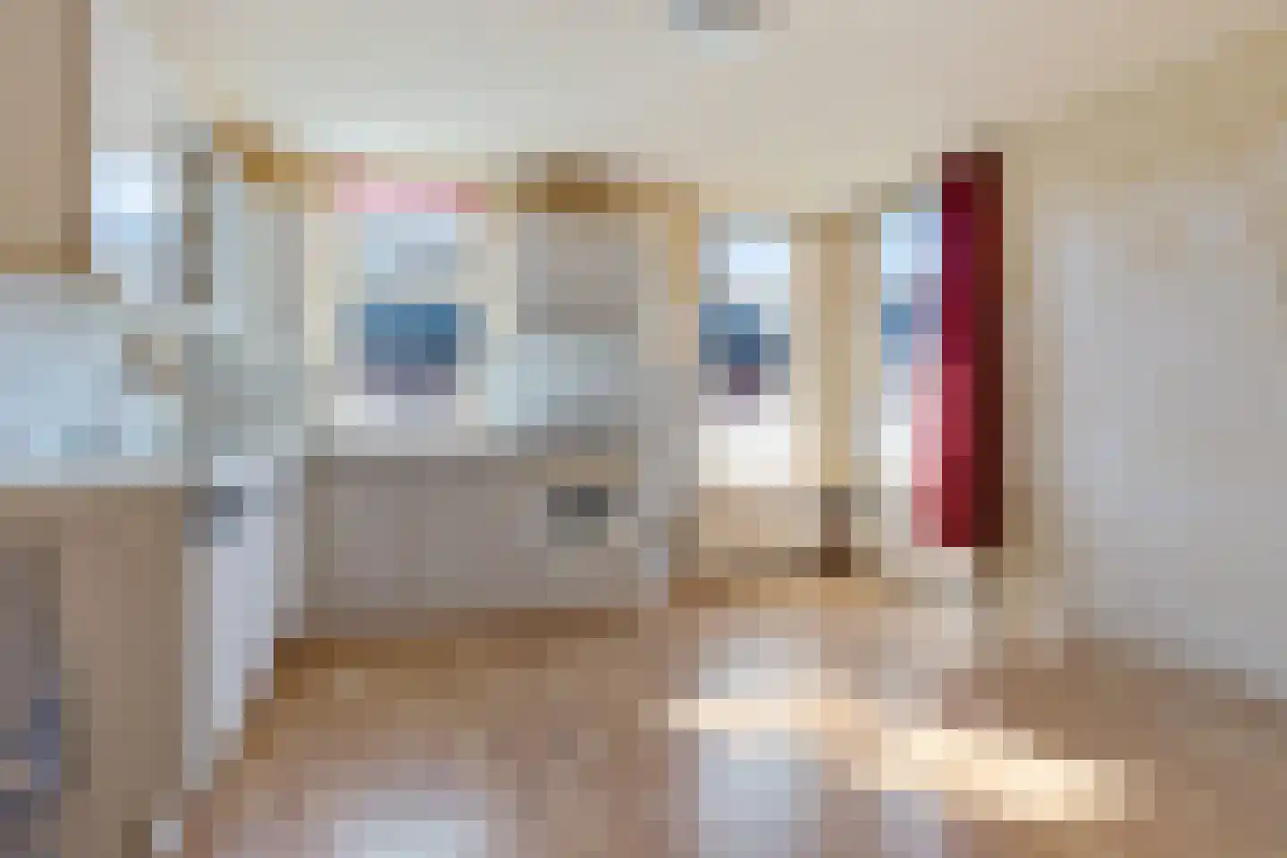 Hoofdweg 63 Wagenborgen thumbnail 30