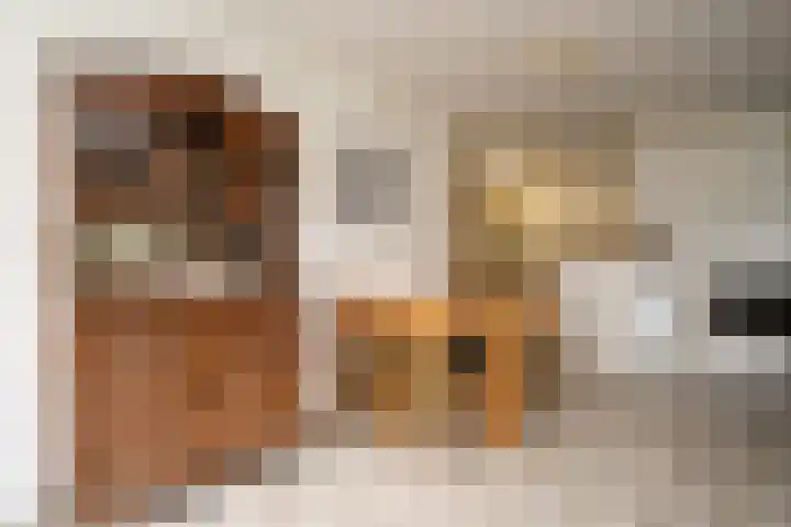 Hoofdweg 65 De Cocksdorp thumbnail 11
