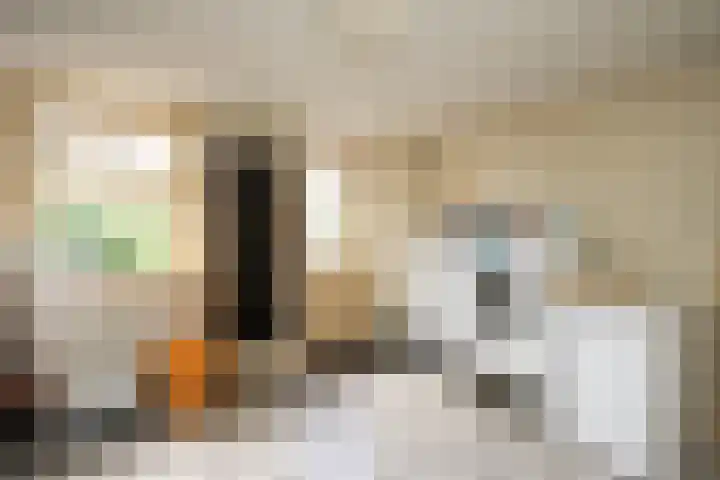 Hoofdweg 65 De Cocksdorp thumbnail 16