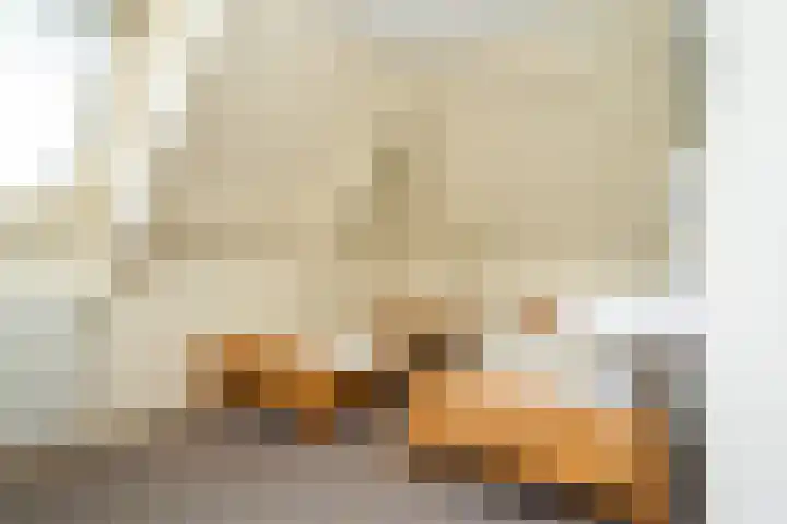 Hoofdweg 65 De Cocksdorp thumbnail 36