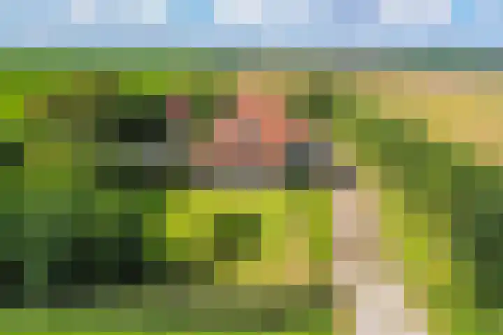 Hoofdweg 65 De Cocksdorp thumbnail 4