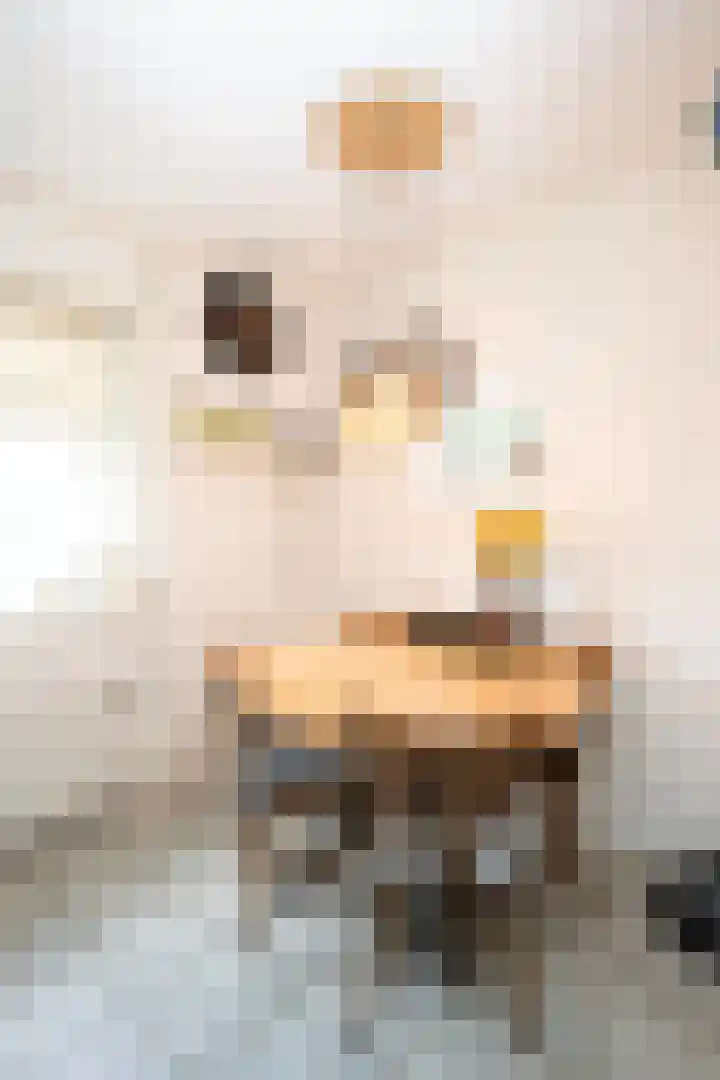 Hoofdweg 65 De Cocksdorp thumbnail 51
