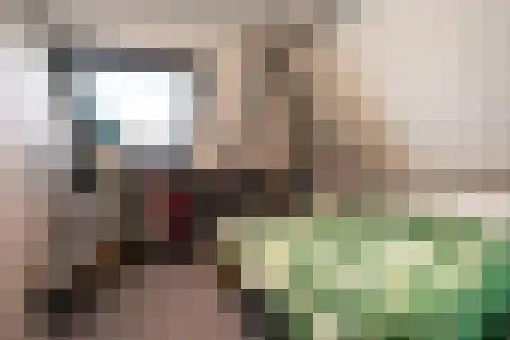 Hoofdweg 65 De Cocksdorp thumbnail 55