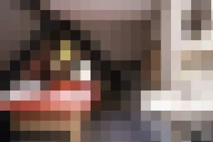Hoofdweg 65 De Cocksdorp thumbnail 56