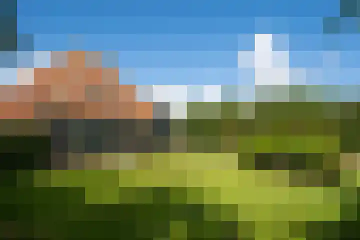 Hoofdweg 65 De Cocksdorp thumbnail 61