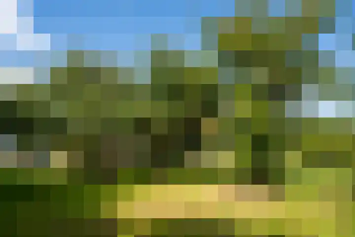 Hoofdweg 65 De Cocksdorp thumbnail 62