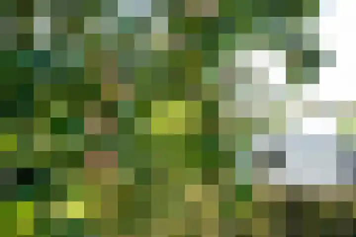 Hoofdweg 65 De Cocksdorp thumbnail 65