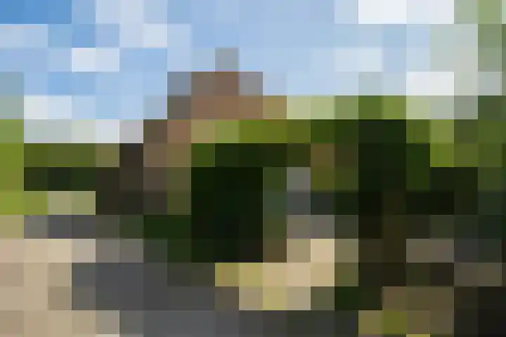 Hoofdweg 65 De Cocksdorp thumbnail 66