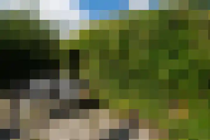 Hoofdweg 65 De Cocksdorp thumbnail 69