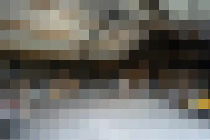 Hoofdweg 65 De Cocksdorp thumbnail 73