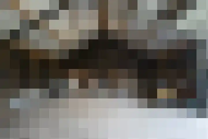 Hoofdweg 65 De Cocksdorp thumbnail 74