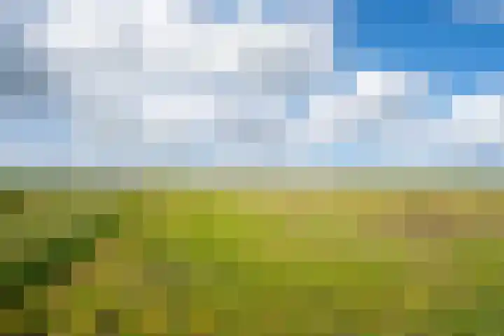 Hoofdweg 65 De Cocksdorp thumbnail 78