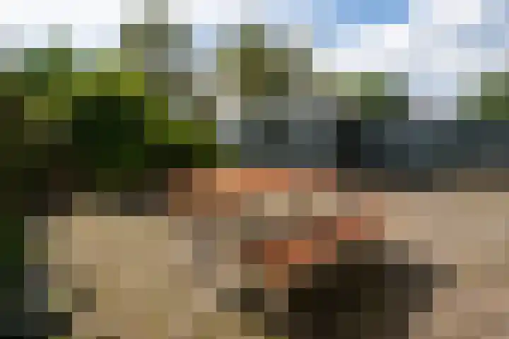 Hoofdweg 65 De Cocksdorp thumbnail 84