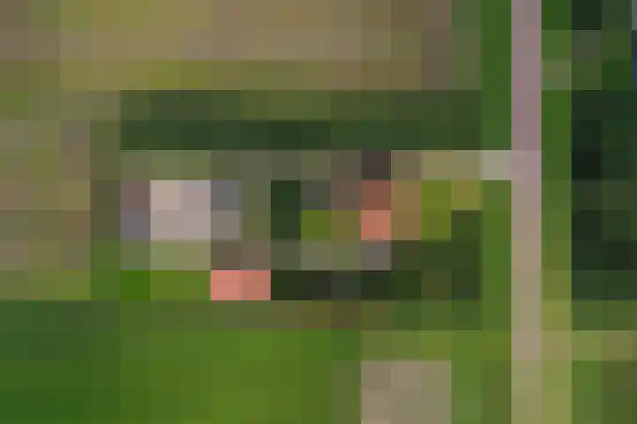 Hoofdweg 65 De Cocksdorp thumbnail 86