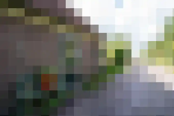 Hoofdweg 65 De Cocksdorp thumbnail 87