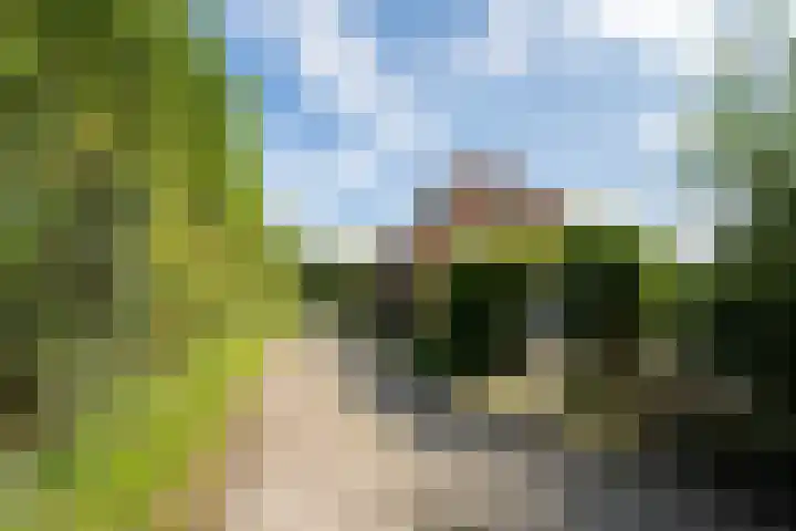 Hoofdweg 65 De Cocksdorp thumbnail 88