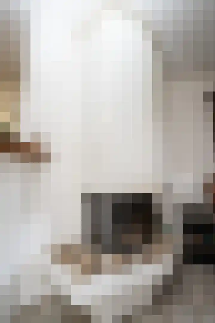 Hoofdweg 65 De Cocksdorp thumbnail 9