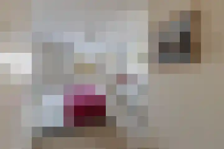 Hoofdweg 65 Huizen thumbnail 15