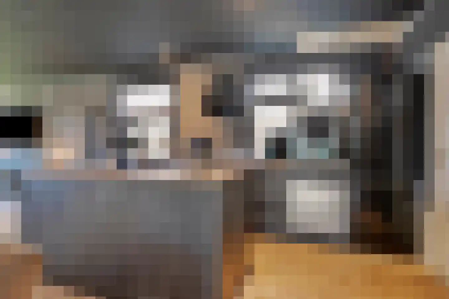 Hoofdweg 65 Nieuw Beerta thumbnail 10
