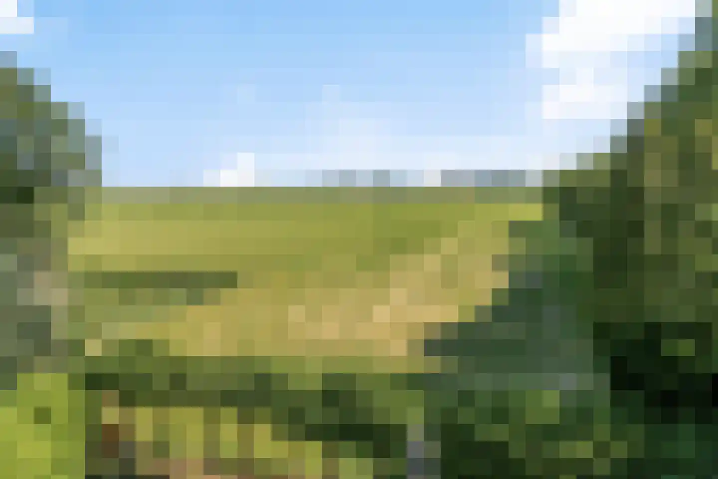 Hoofdweg 65 Nieuw Beerta thumbnail 25