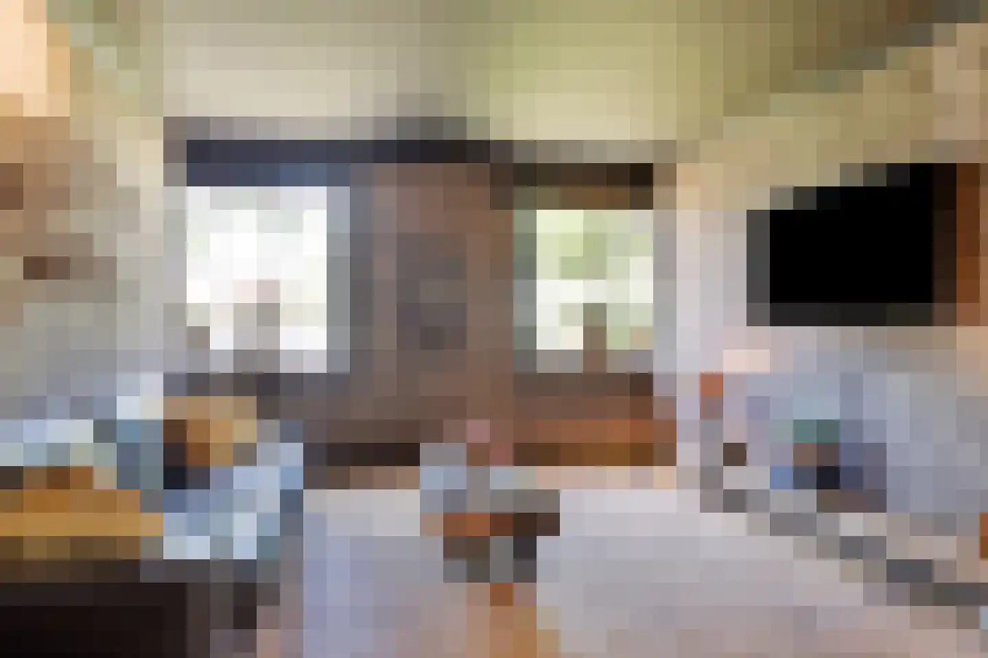 Hoofdweg 65 Nieuw Beerta thumbnail 7