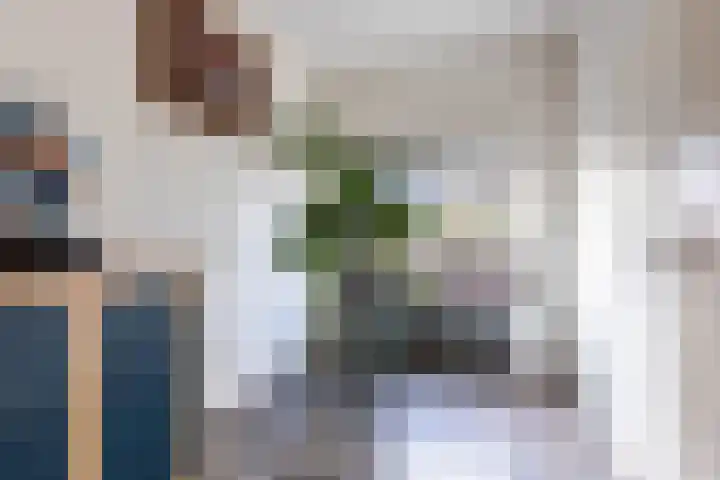 Hoofdweg 65 Siddeburen thumbnail 21