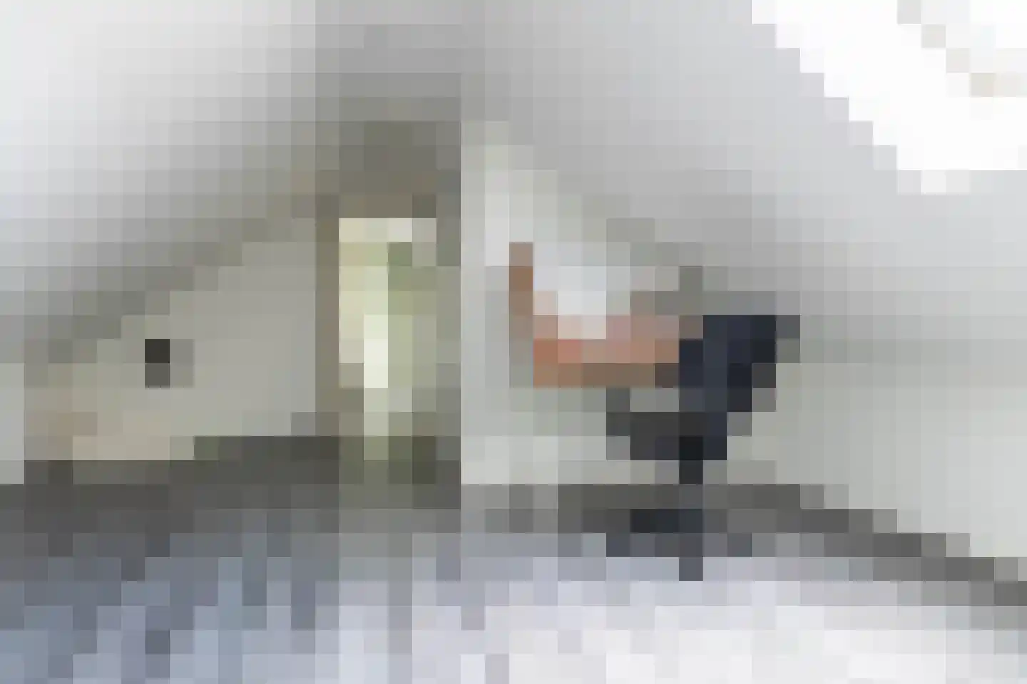 Hoofdweg 65 Siddeburen thumbnail 31
