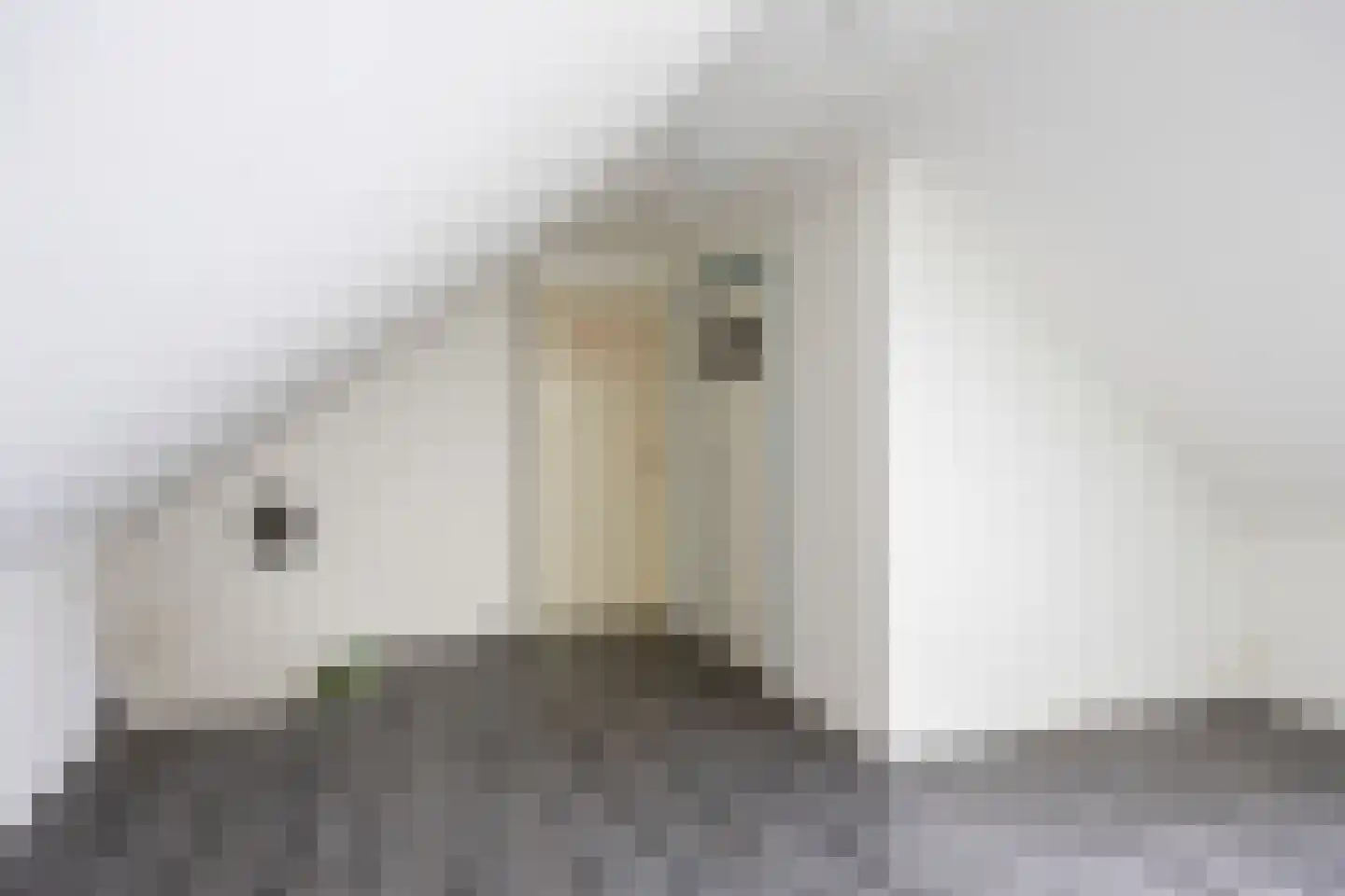 Hoofdweg 65 Siddeburen thumbnail 33