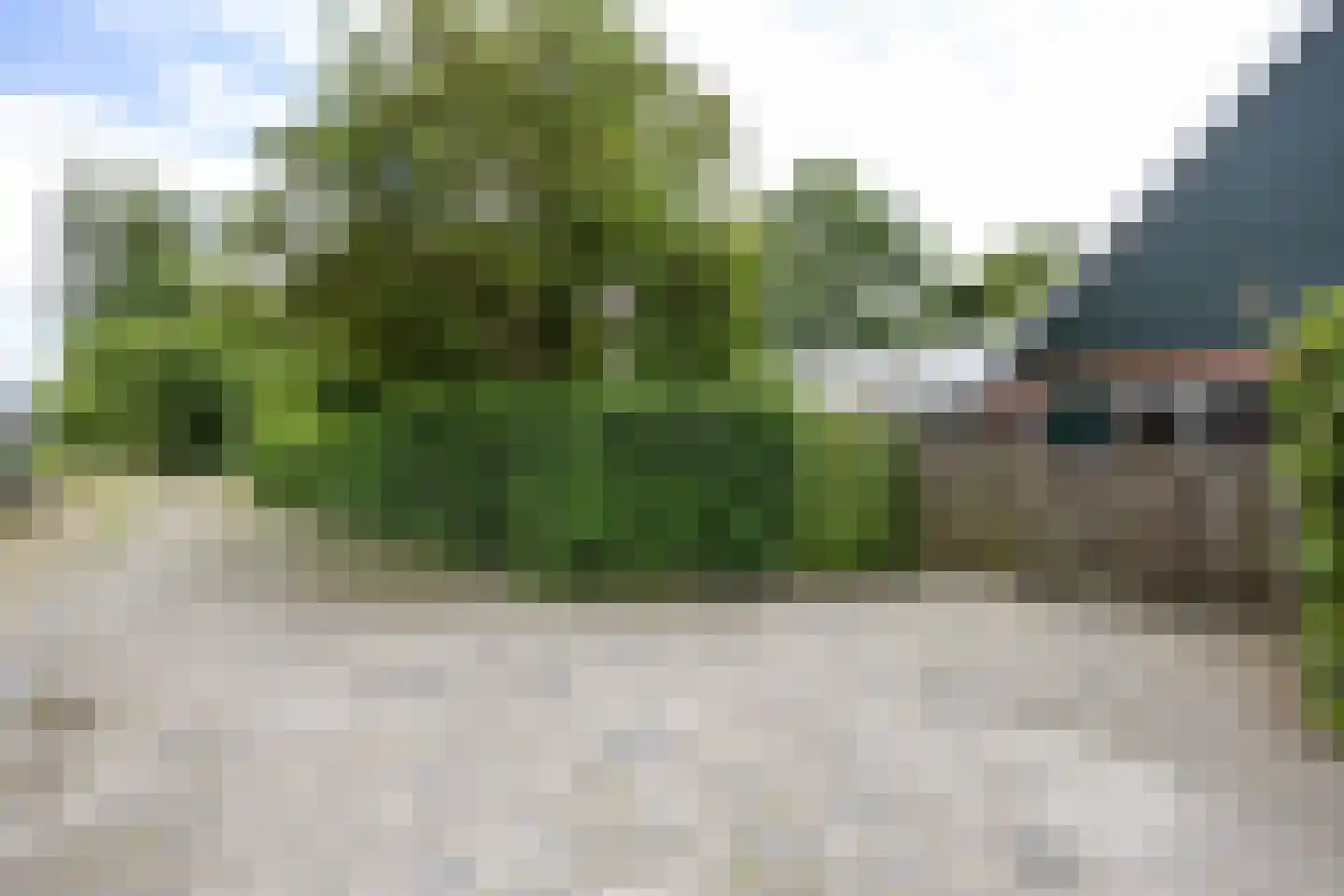 Hoofdweg 65 Siddeburen thumbnail 39