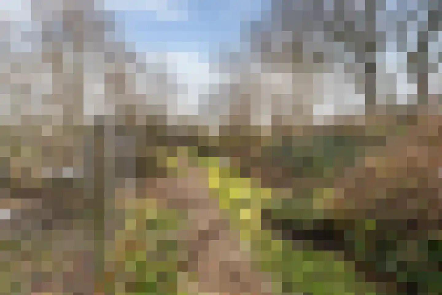 Hoofdweg 65 Siddeburen thumbnail 43