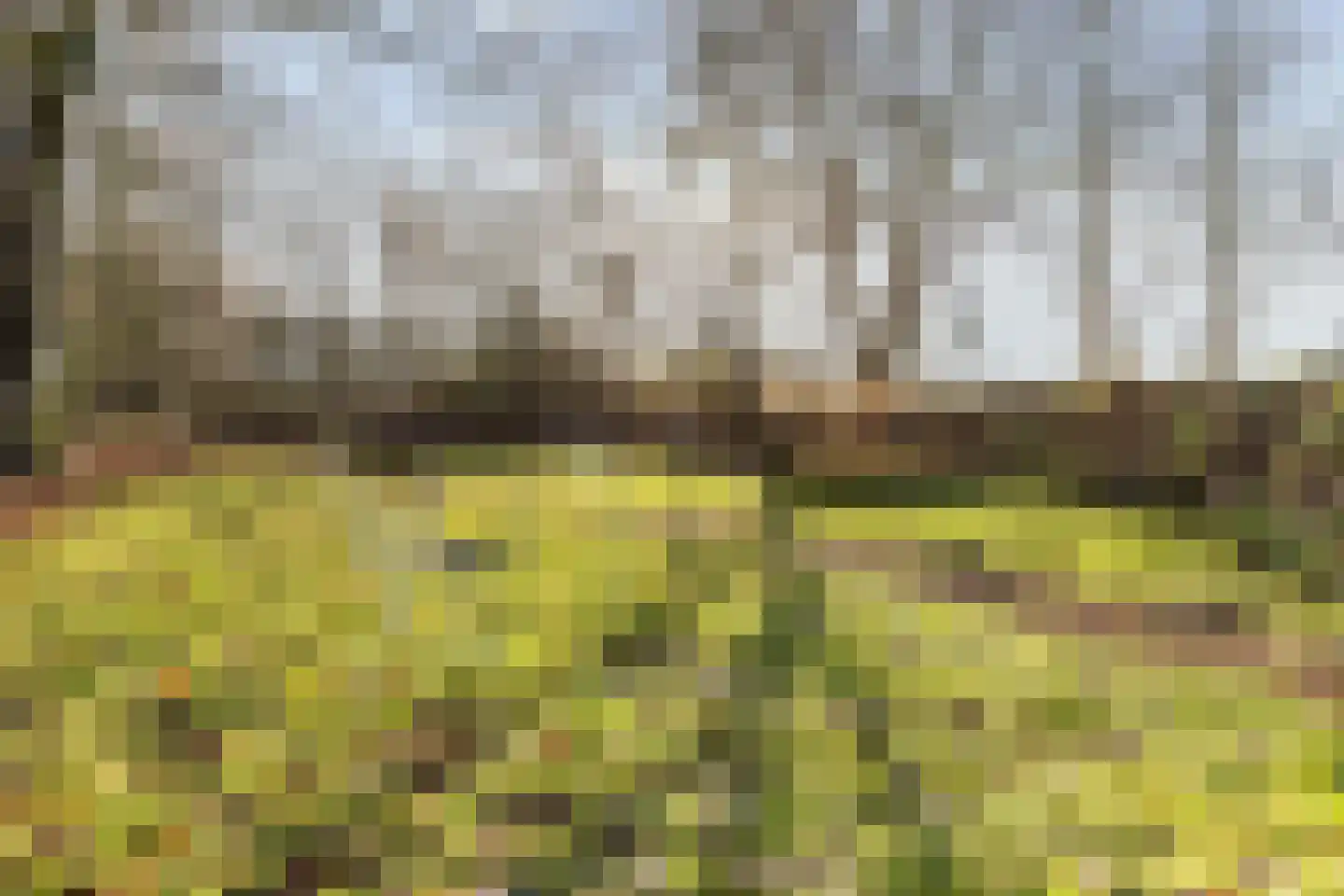 Hoofdweg 65 Siddeburen thumbnail 44