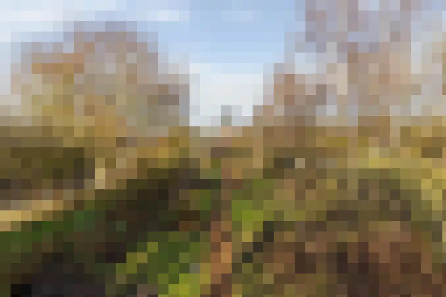 Hoofdweg 65 Siddeburen thumbnail 46