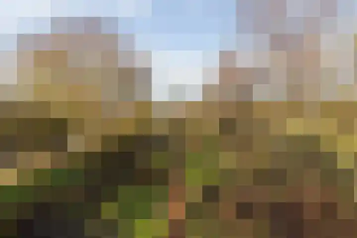 Hoofdweg 65 Siddeburen thumbnail 46