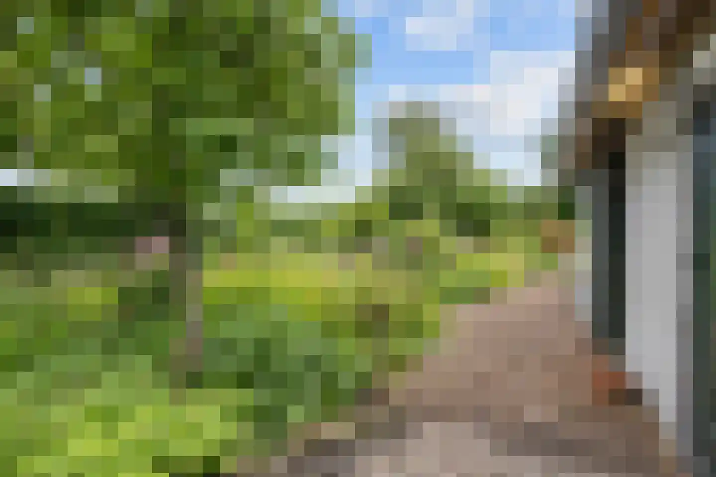 Hoofdweg 65 Siddeburen thumbnail 48