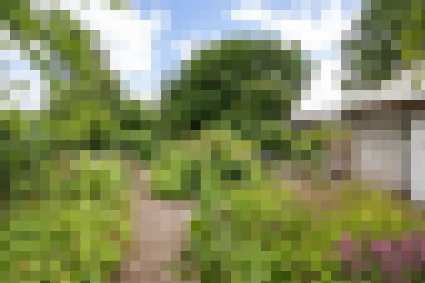 Hoofdweg 65 Siddeburen thumbnail 49