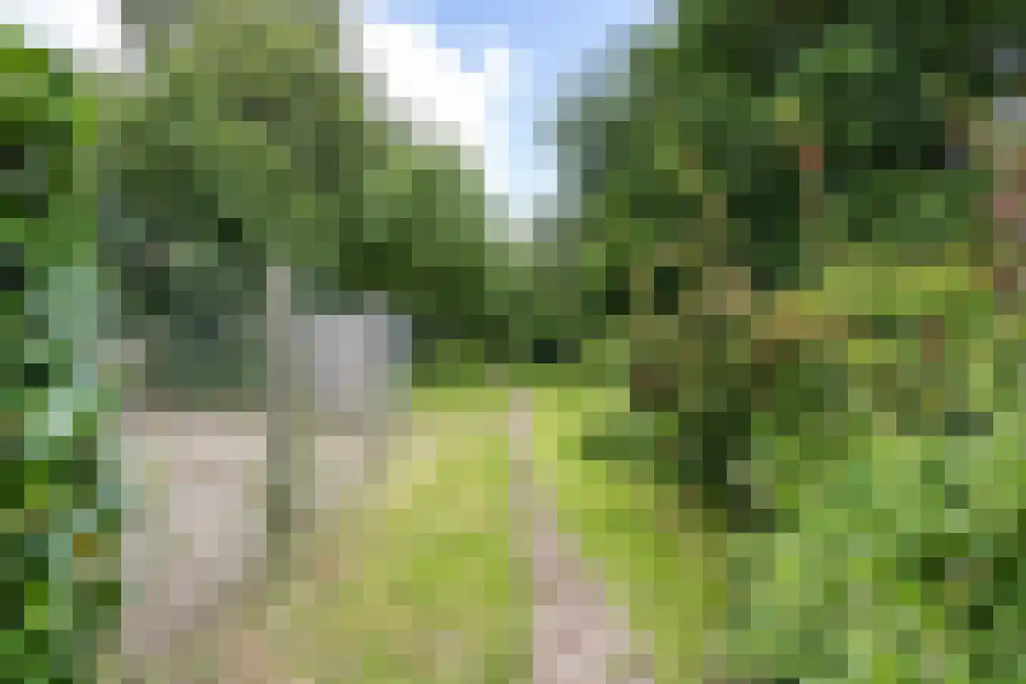 Hoofdweg 65 Siddeburen thumbnail 50