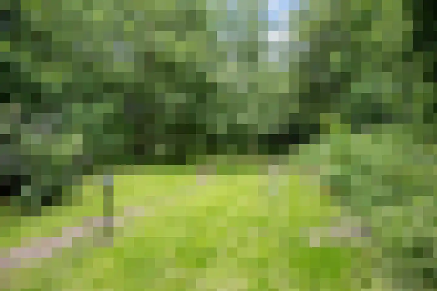Hoofdweg 65 Siddeburen thumbnail 51