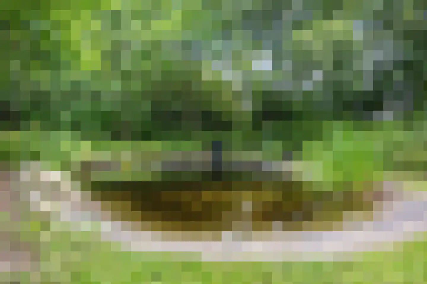 Hoofdweg 65 Siddeburen thumbnail 52
