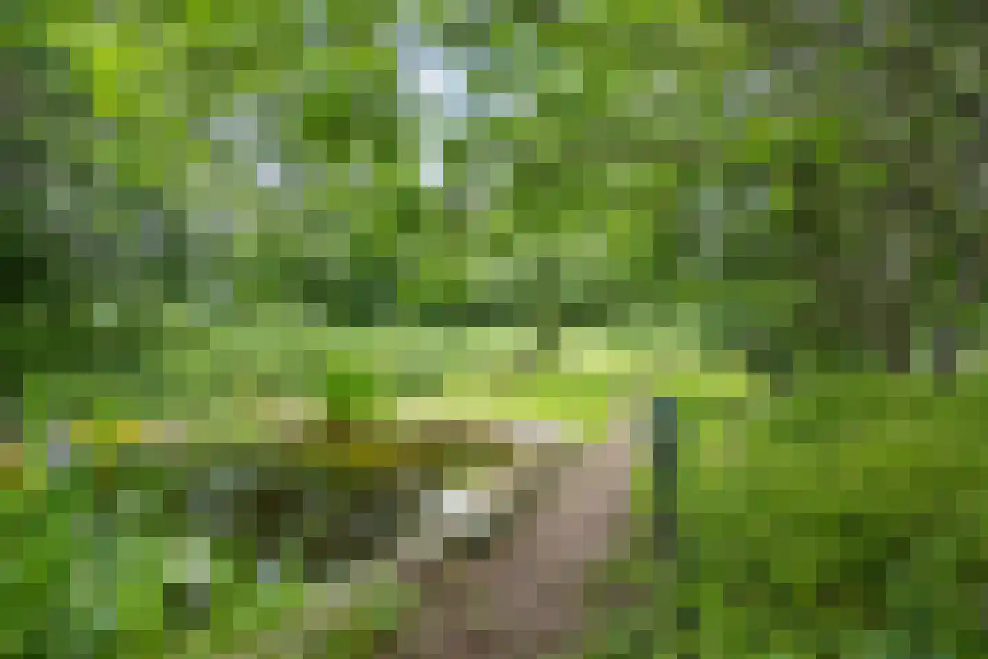 Hoofdweg 65 Siddeburen thumbnail 53