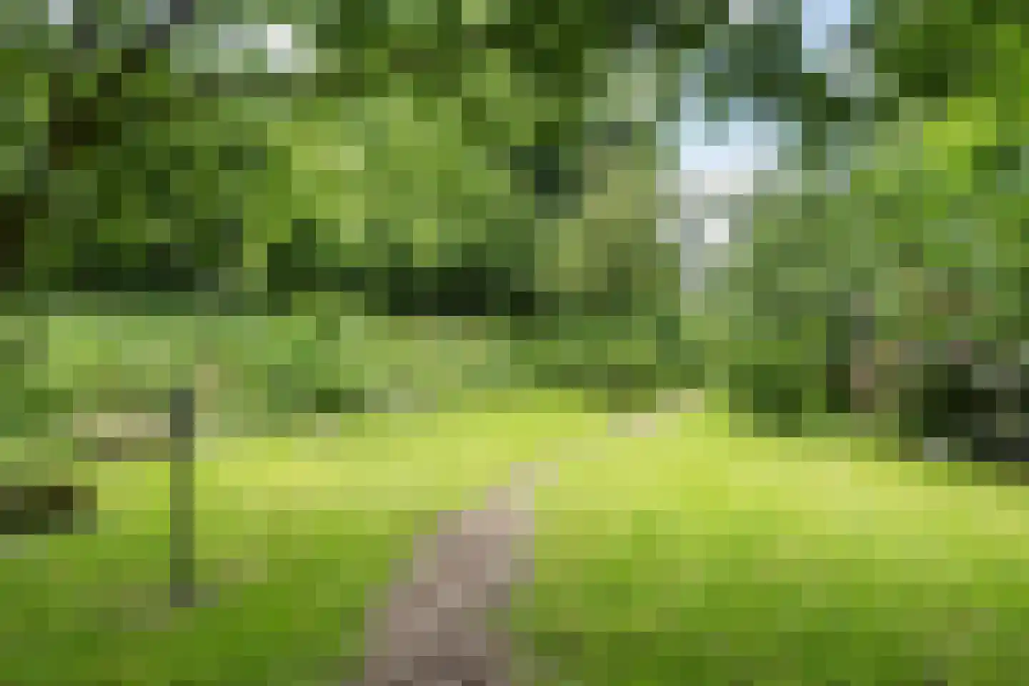 Hoofdweg 65 Siddeburen thumbnail 54
