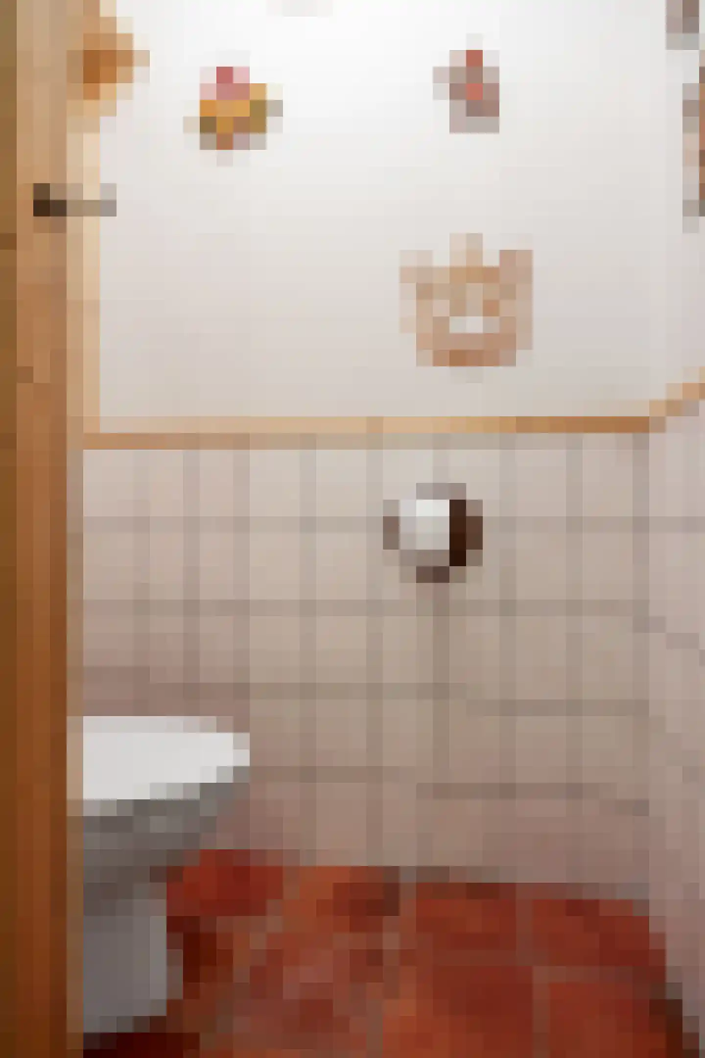 Hoofdweg 65 Siddeburen thumbnail 61