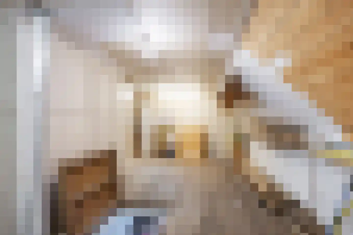 Hoofdweg 65 Siddeburen thumbnail 68