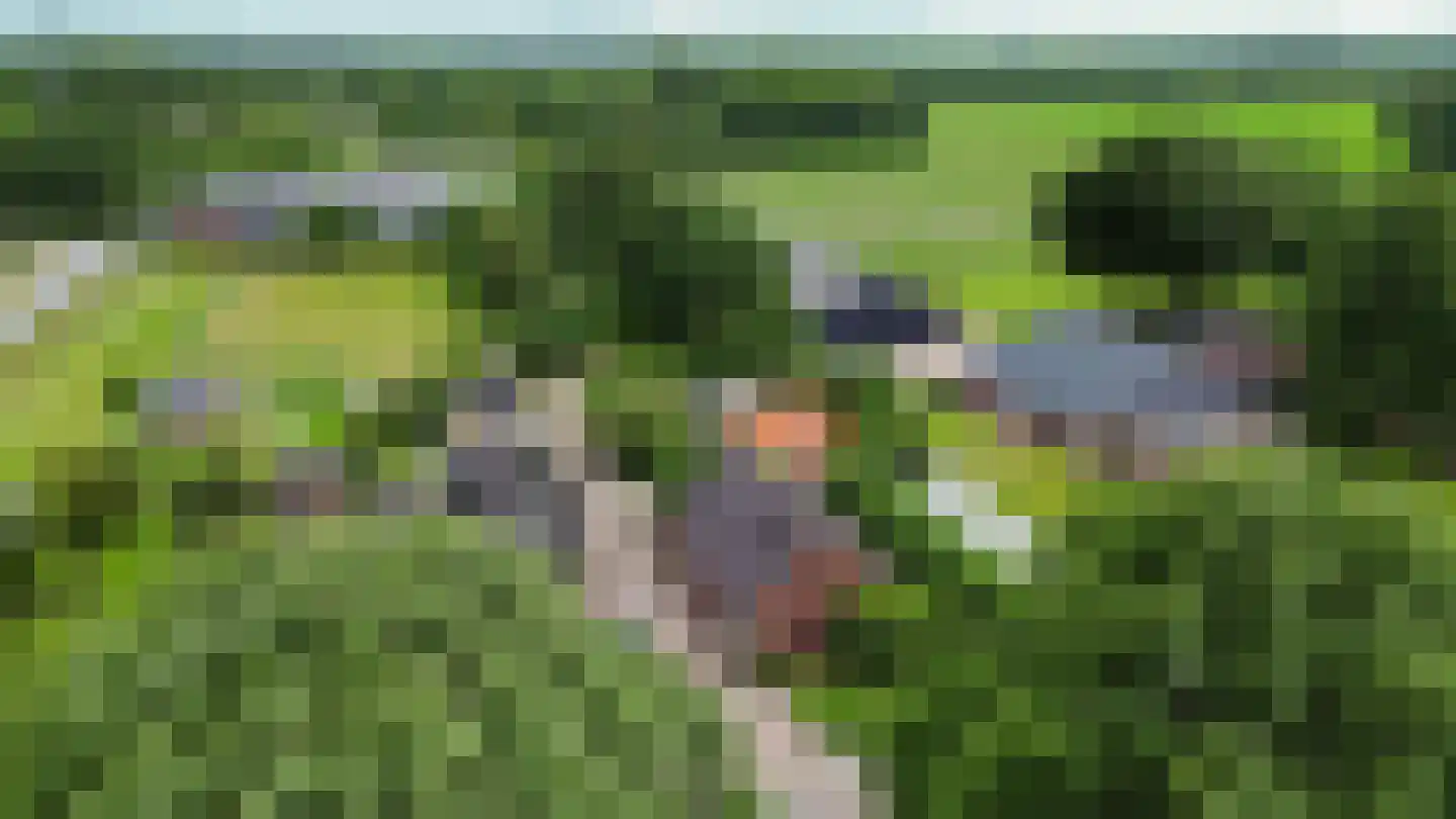 Hoofdweg 65 Siddeburen thumbnail 69