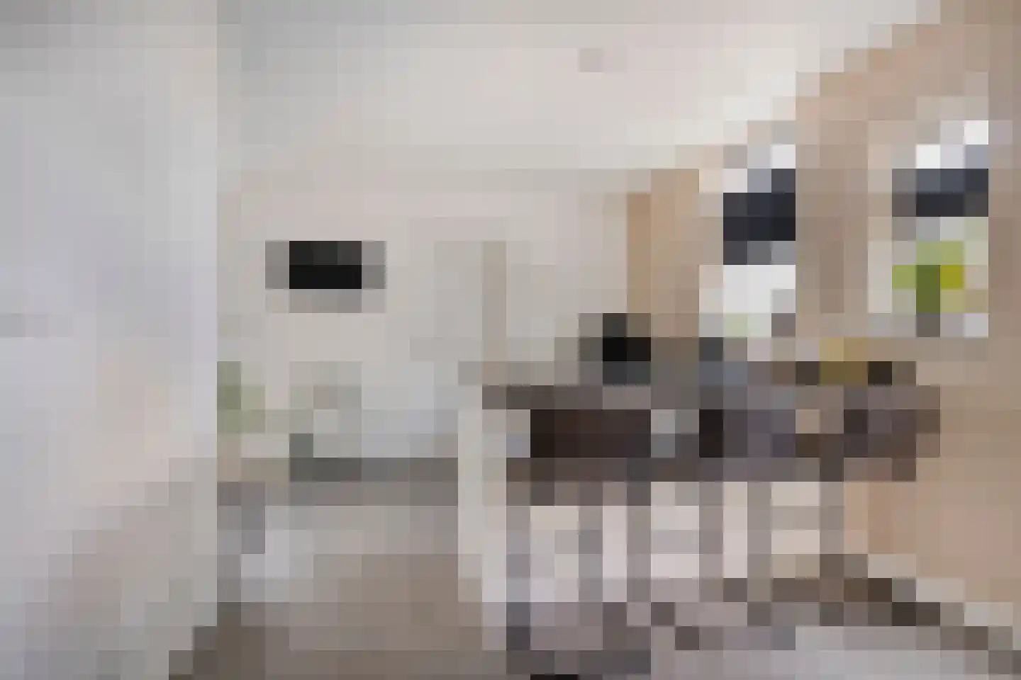 Hoofdweg 66 Boerakker thumbnail 11