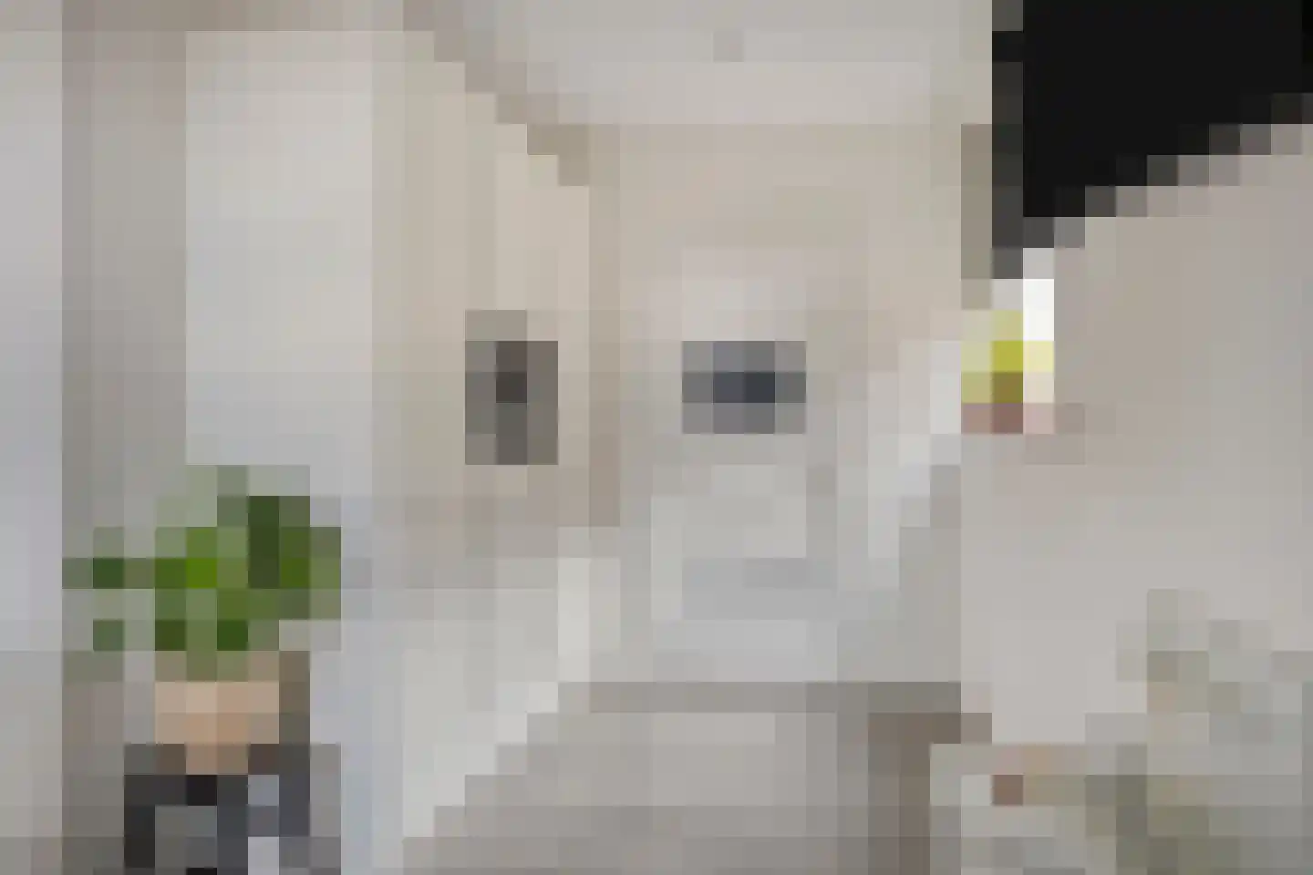 Hoofdweg 66 Boerakker thumbnail 12