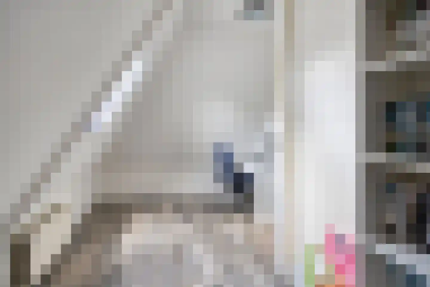 Hoofdweg 66 Boerakker thumbnail 27