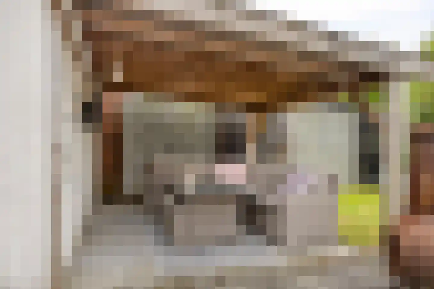 Hoofdweg 66 Boerakker thumbnail 32