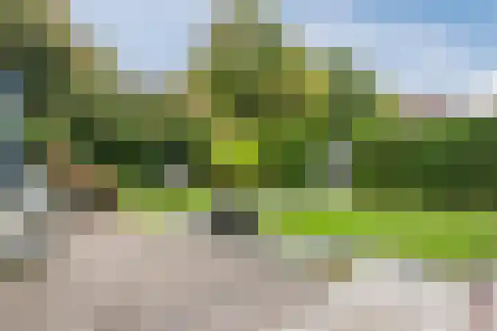 Hoofdweg 663 Hoofddorp thumbnail 5
