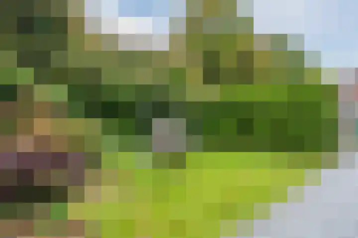 Hoofdweg 663 Hoofddorp thumbnail 53