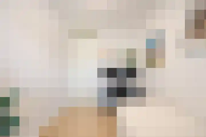 Hoofdweg 670 Amsterdam thumbnail 18